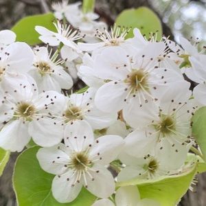 Meet your Posher, Eleonora